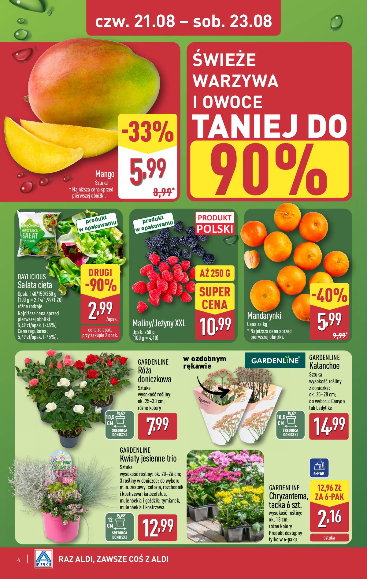 Aldi - Oferta weekendowa 4 puslapis