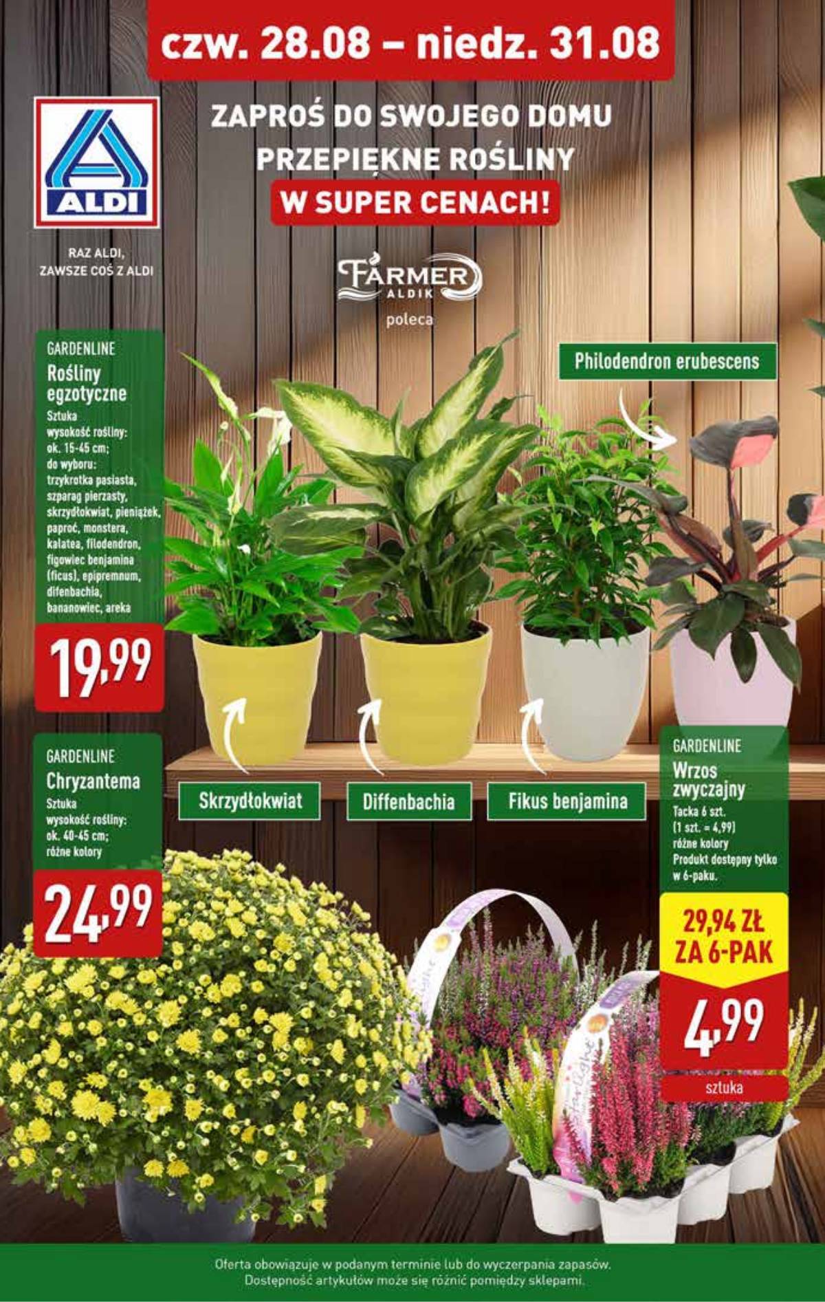 Aldi - Oferta weekendowa 8 puslapis