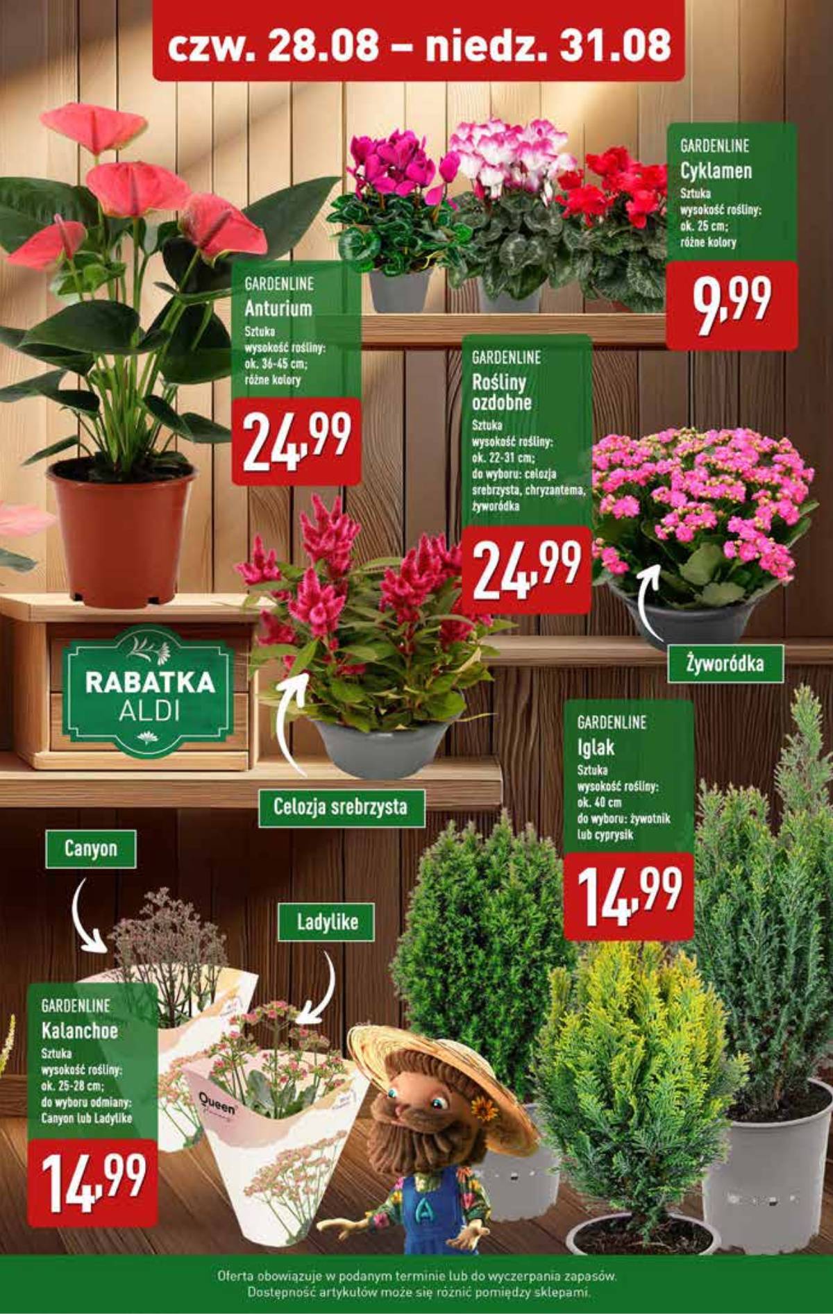 Aldi - Oferta weekendowa 9 puslapis