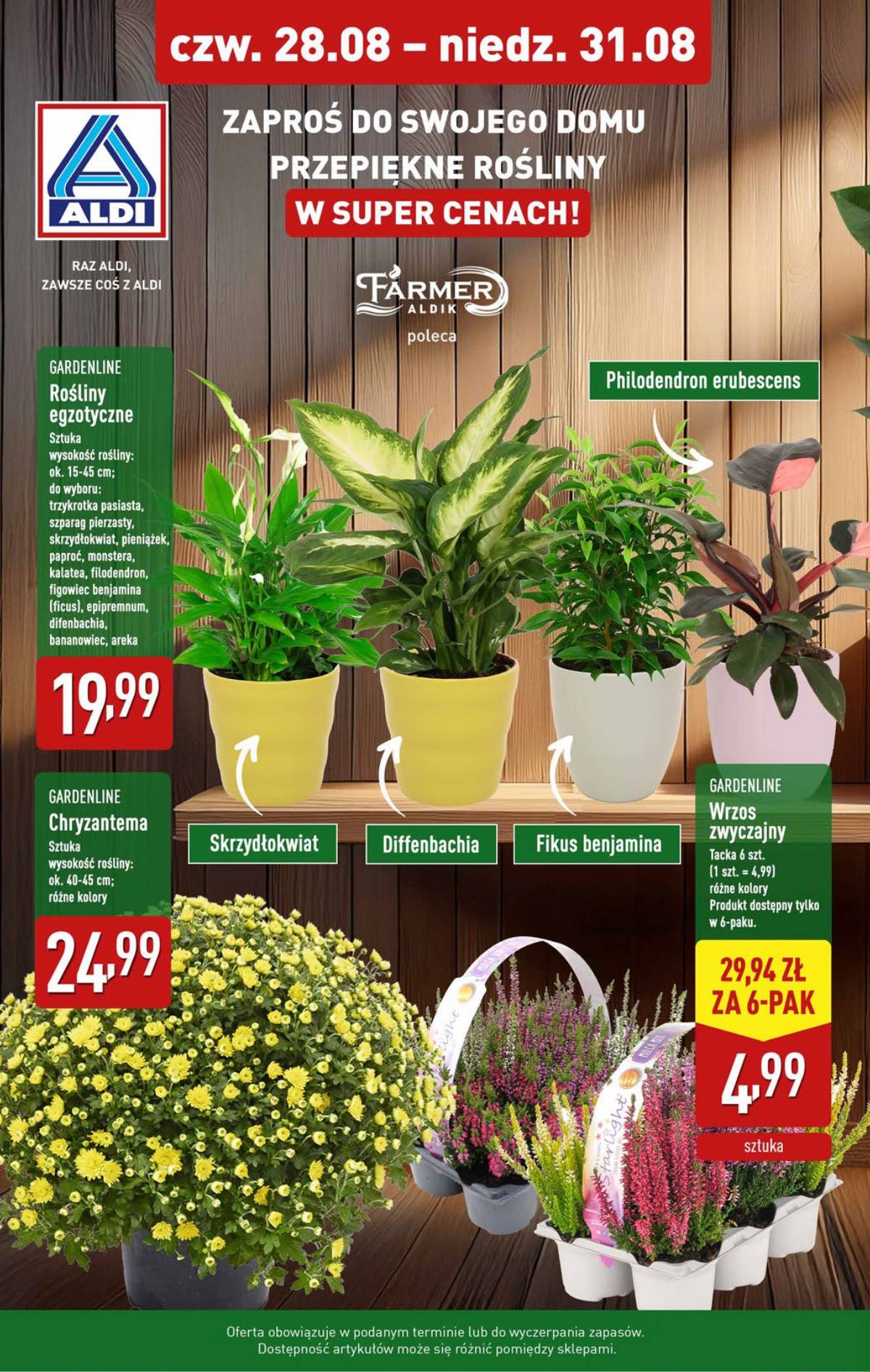 Aldi - Oferta weekendowa 8 puslapis