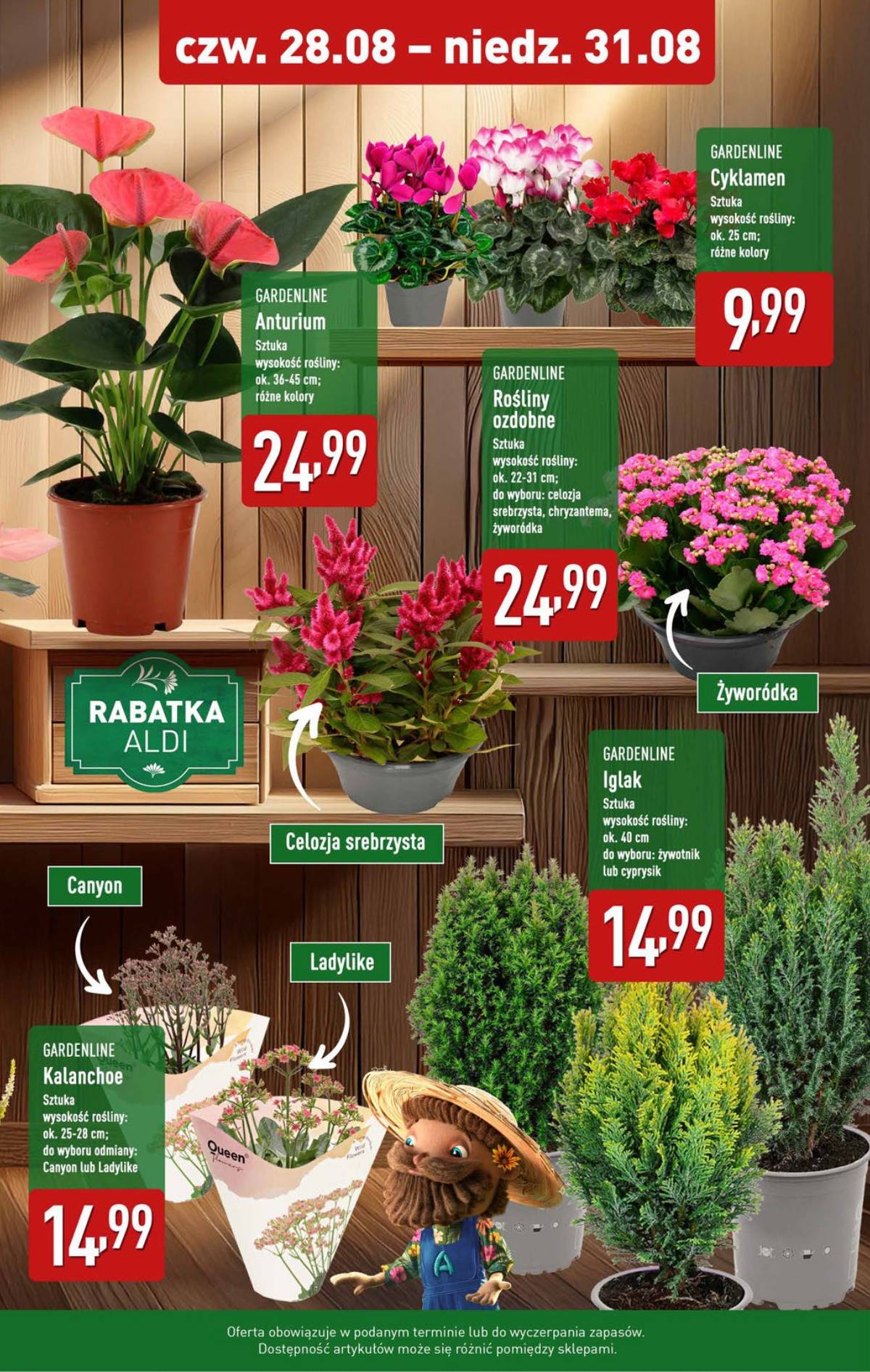Aldi - Oferta weekendowa 9 puslapis