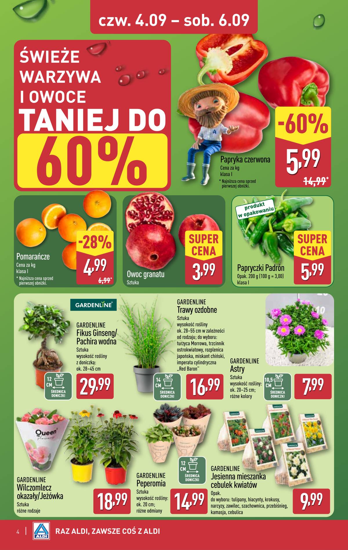 Aldi - Oferta weekendowa 4 puslapis