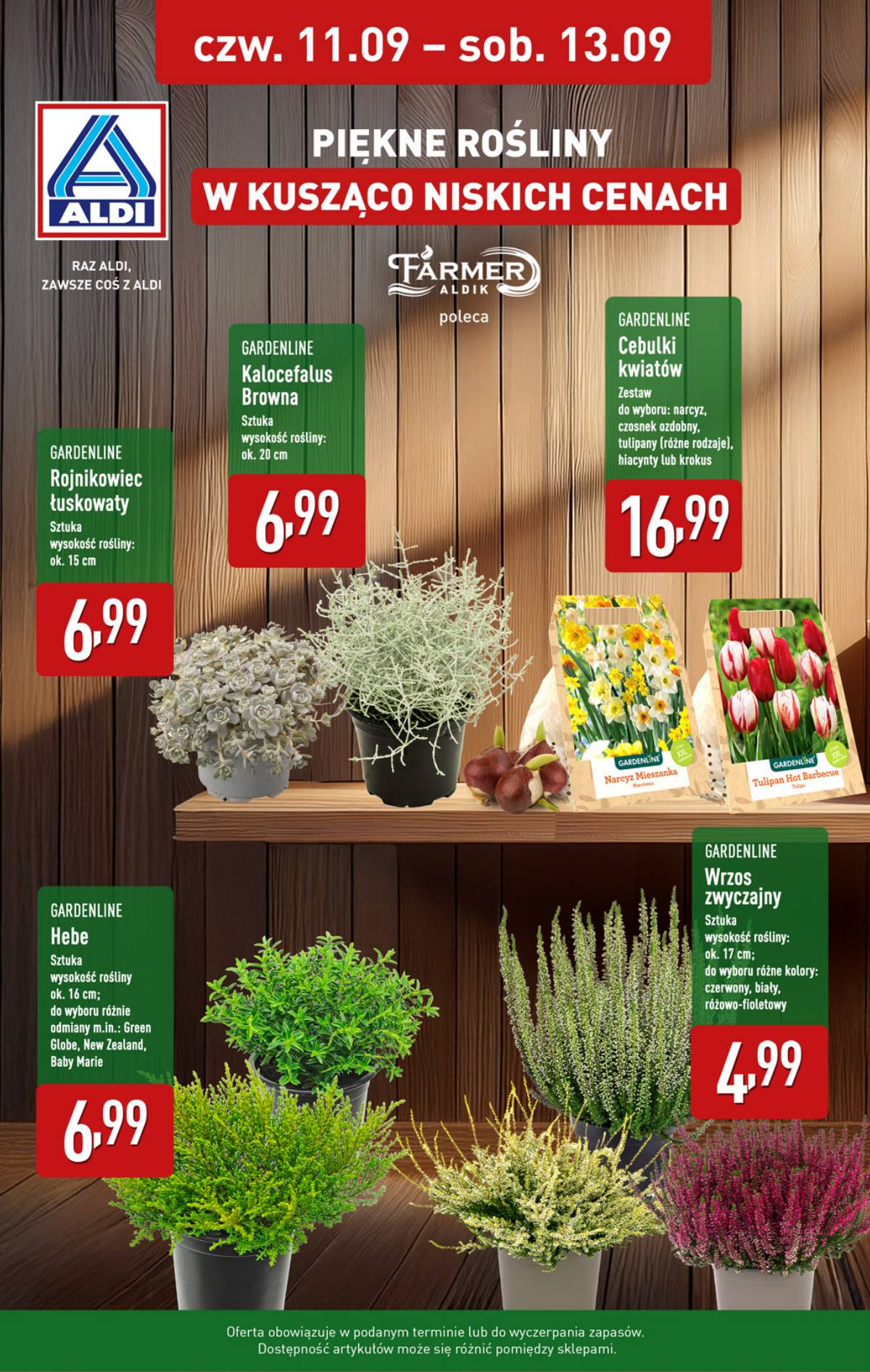 Aldi - Oferta weekendowa 8 puslapis