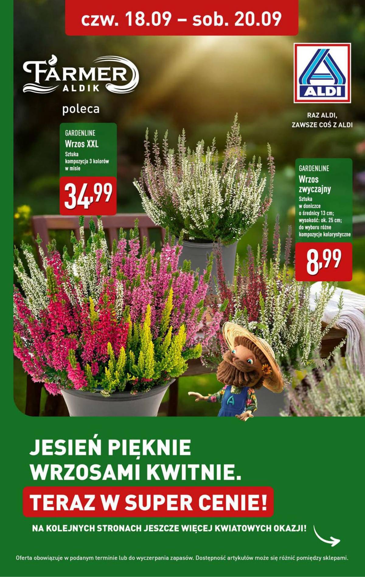 Aldi - Pełna oferta 33 puslapis