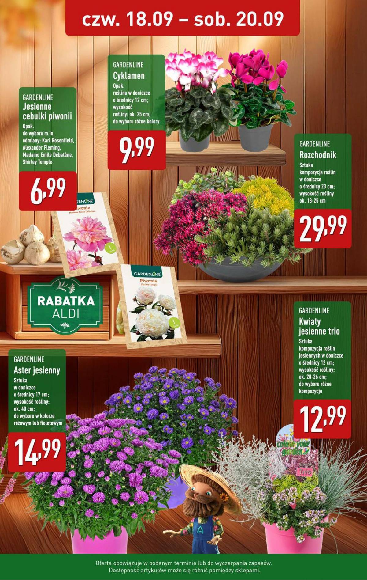 Aldi - Pełna oferta 35 puslapis