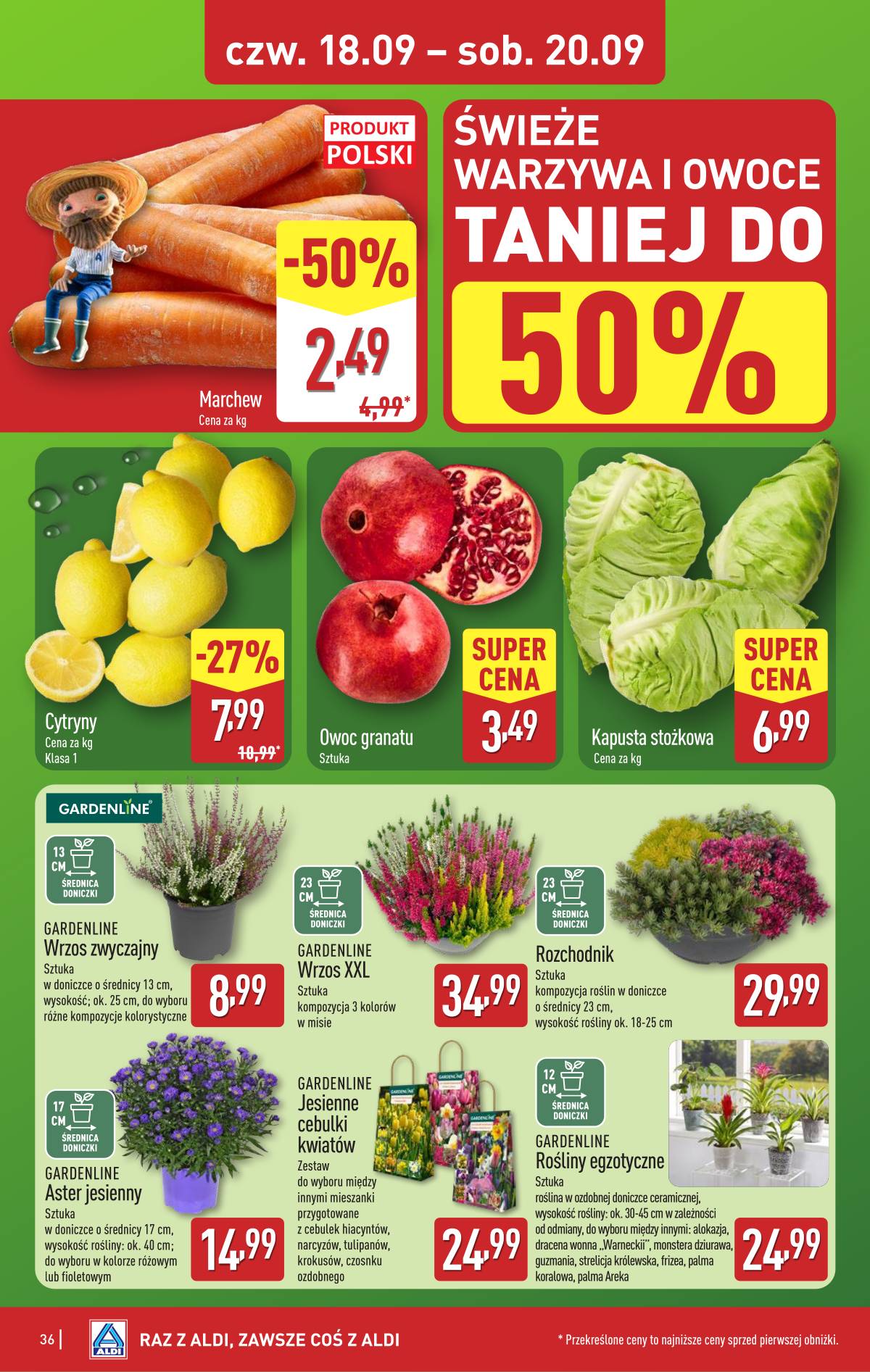 Aldi - Pełna oferta 36 puslapis