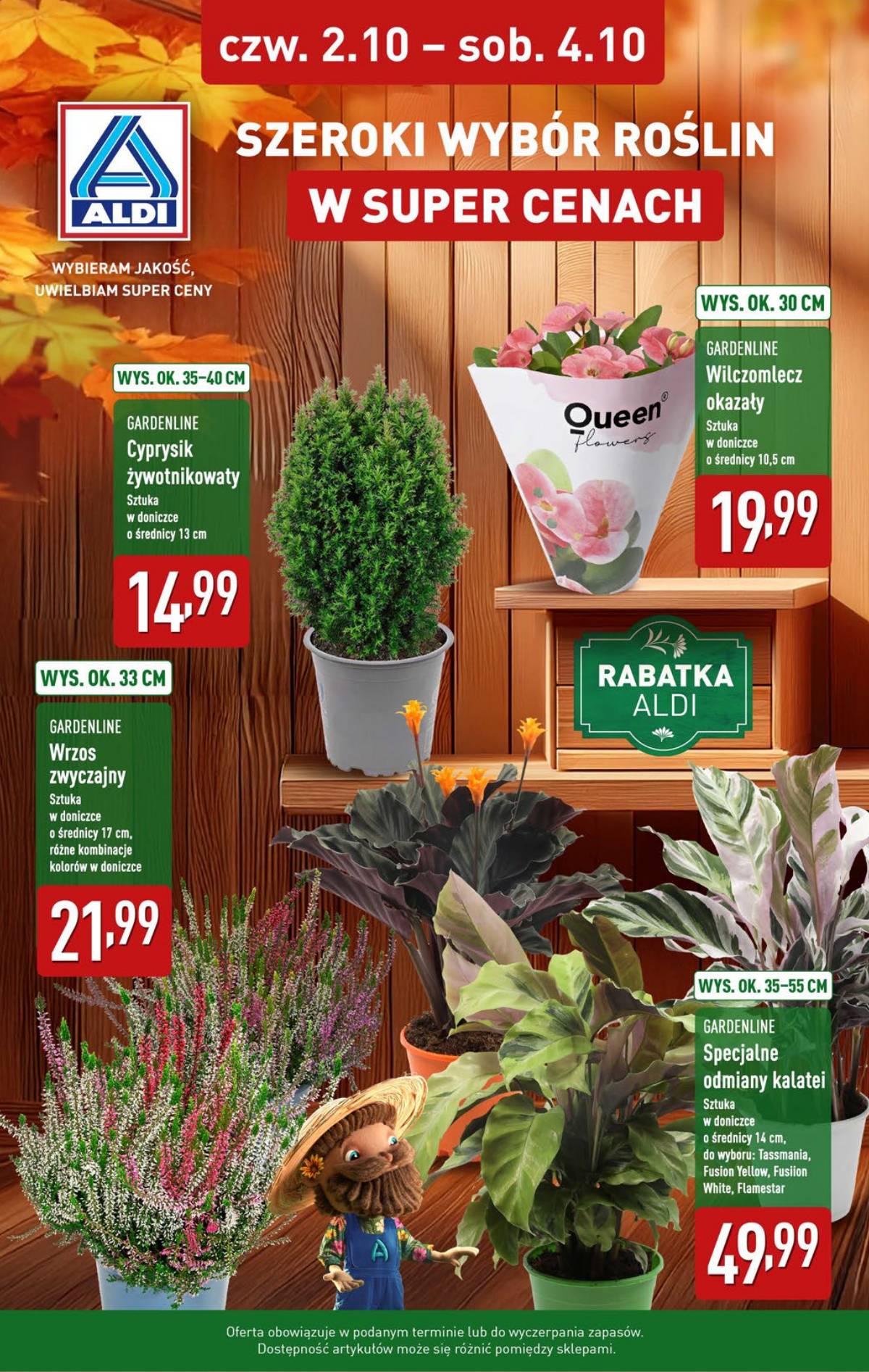 Aldi - OD CZWARTKU Weekend Super Cen W Aldi 7 puslapis