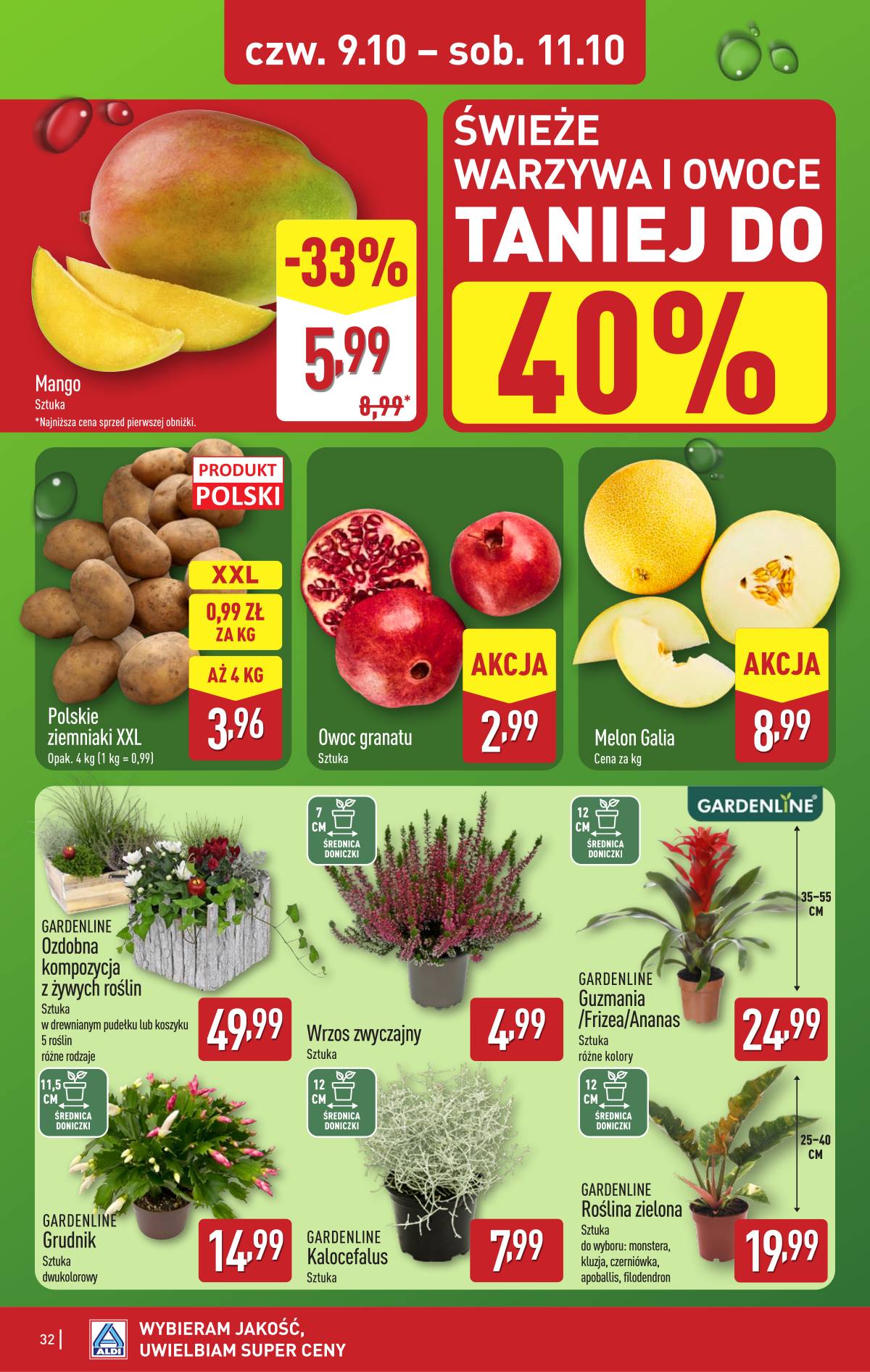 Aldi - Pełna oferta 32 puslapis