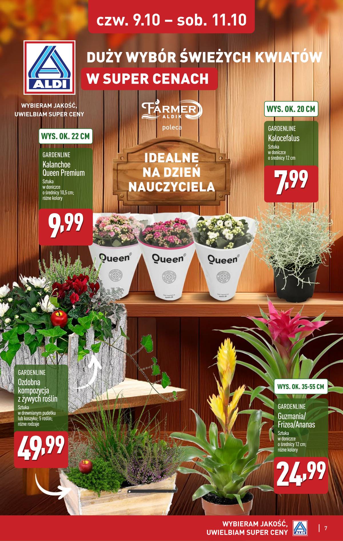 Aldi - Oferta specjalna 7 puslapis