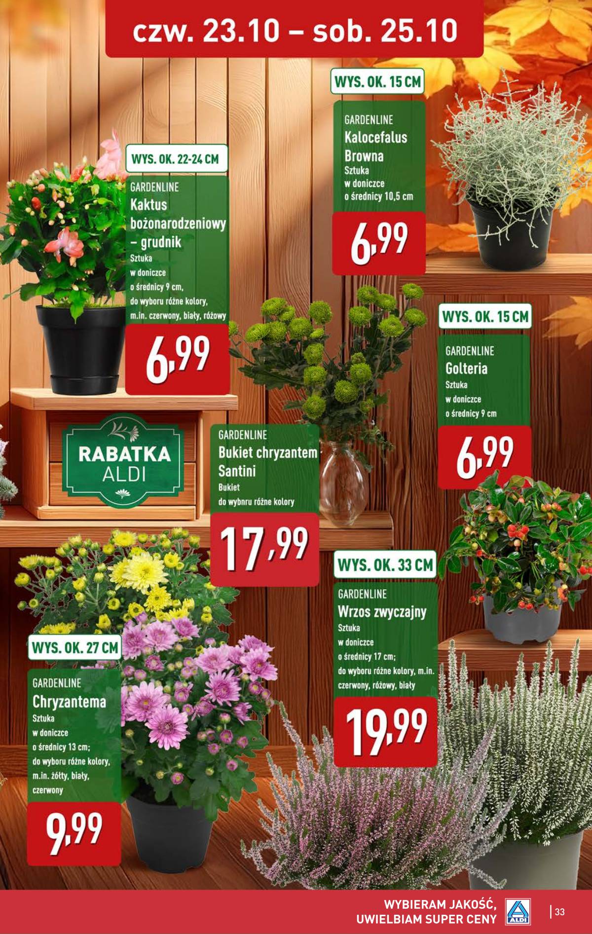 Aldi - Pełna oferta 33 puslapis