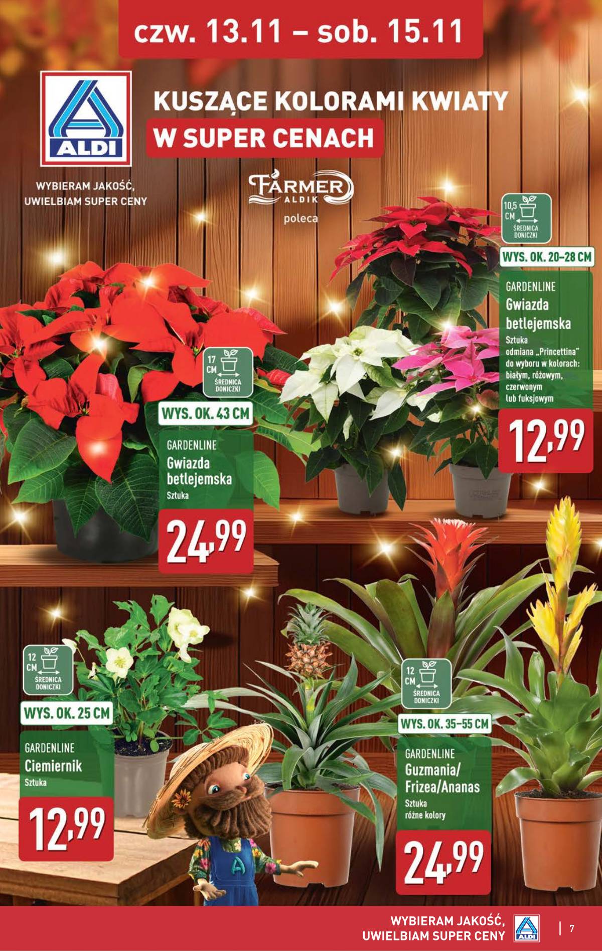 Aldi - Oferta weekendowa 7 puslapis