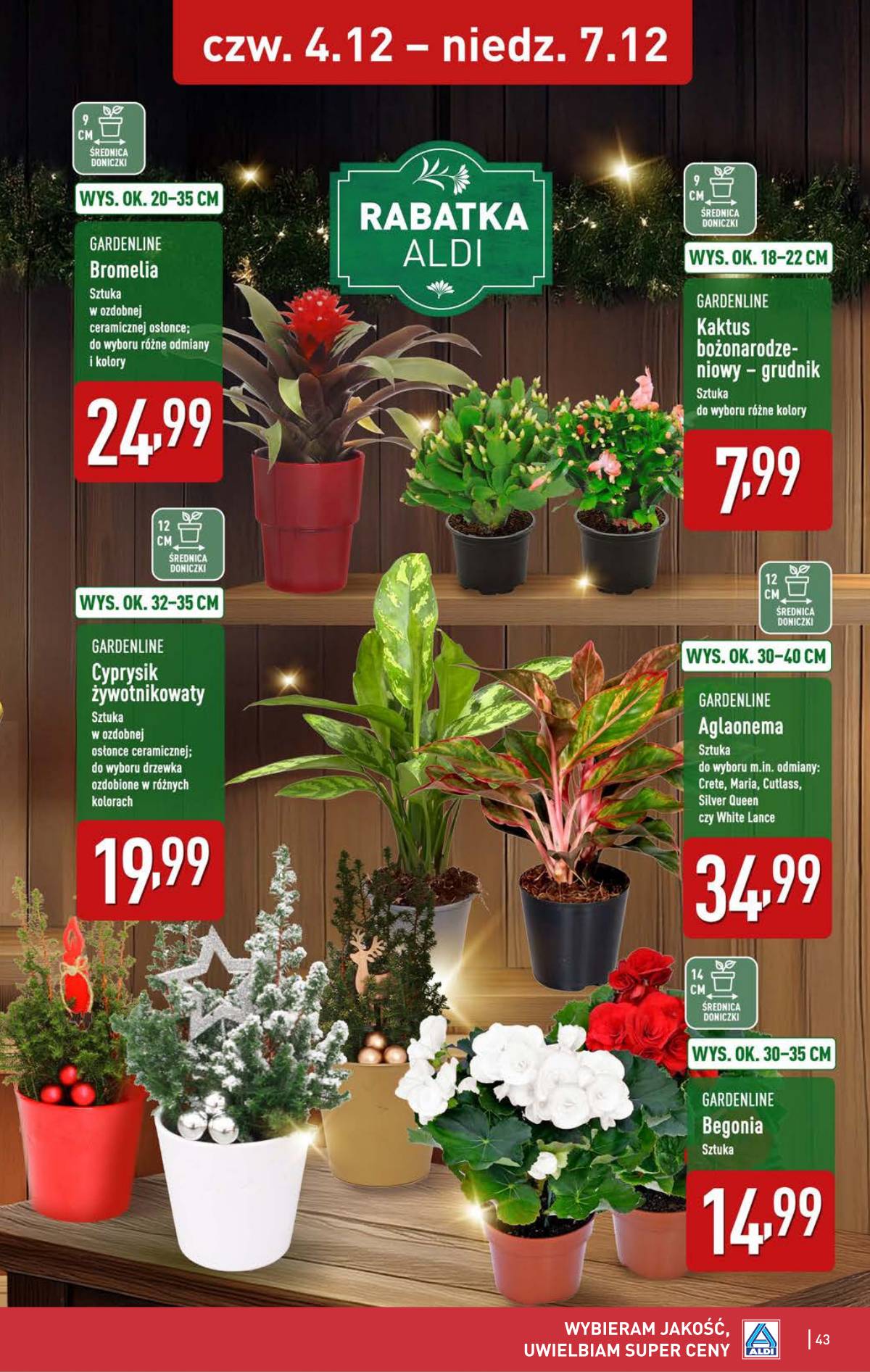 Aldi - Pełna oferta 43 puslapis