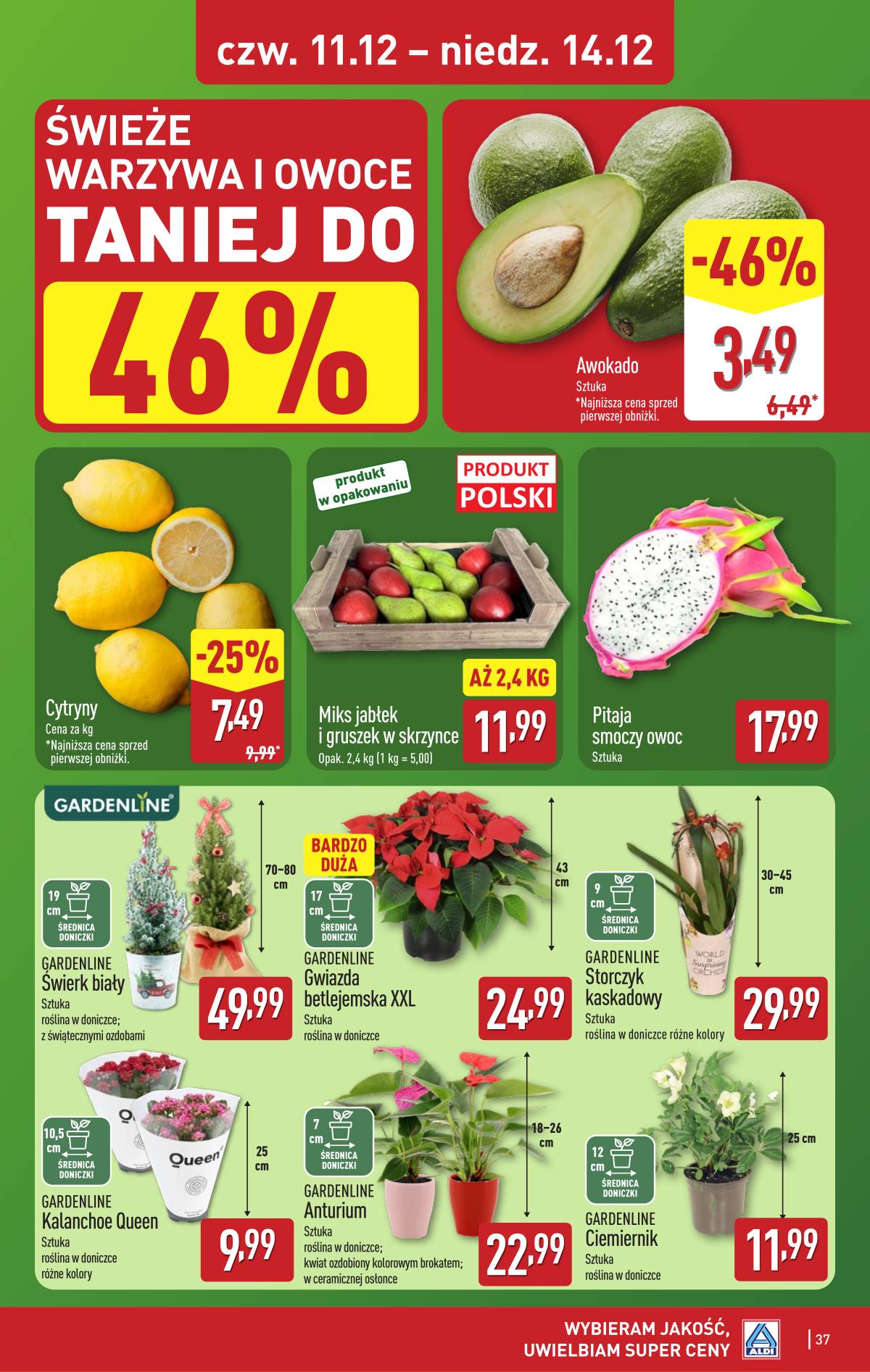 Aldi - Pełna oferta 37 puslapis