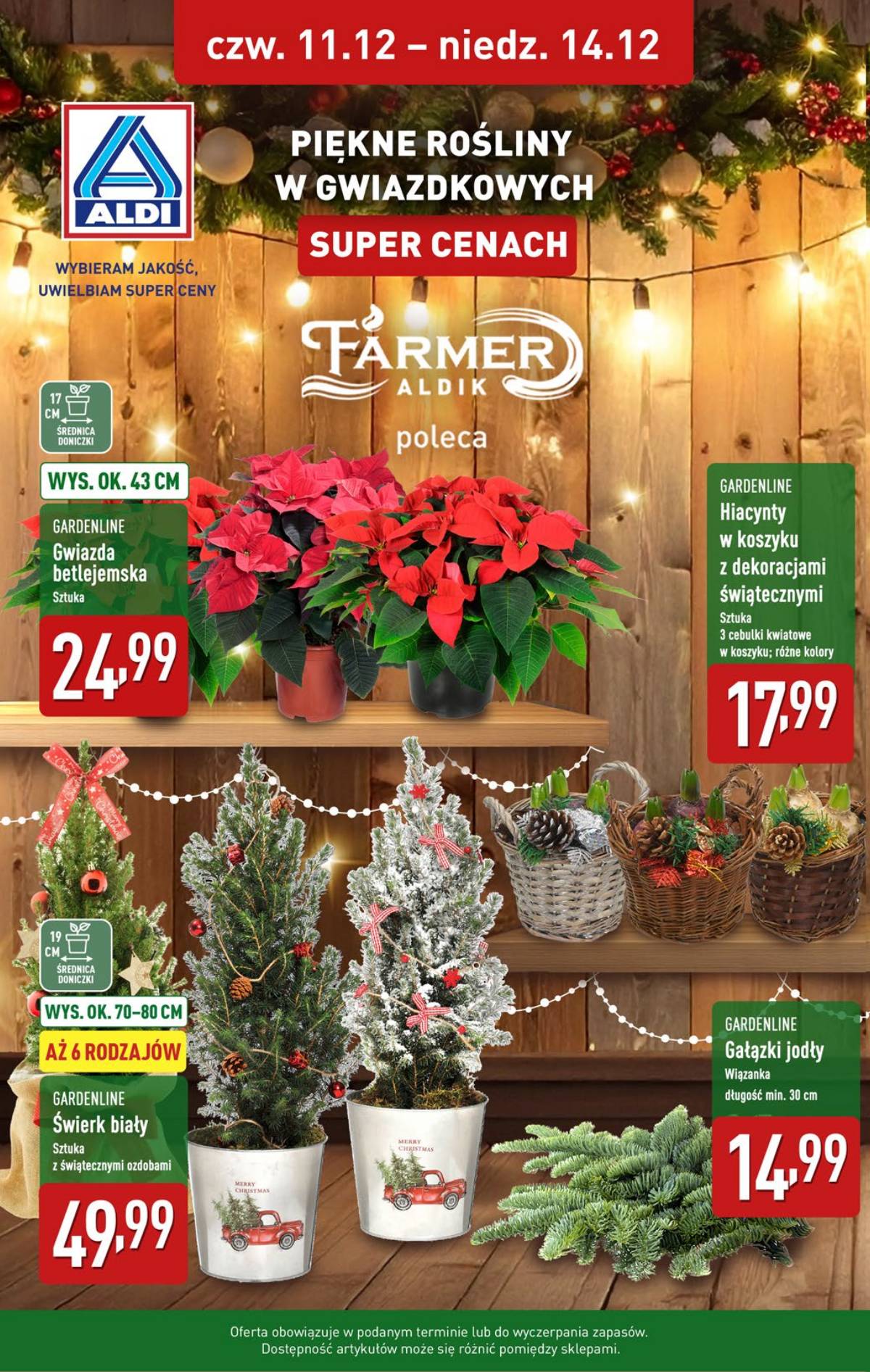 Aldi - Pełna oferta 38 puslapis