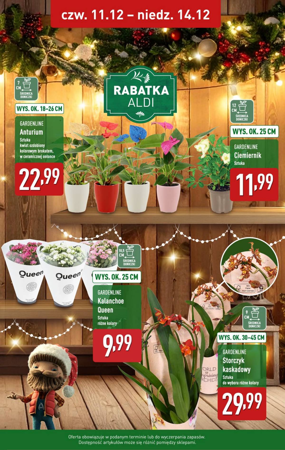 Aldi - Pełna oferta 39 puslapis