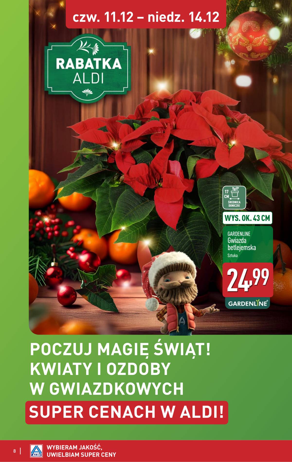 Aldi - Gwiazdy świątecznego stołu 8 puslapis