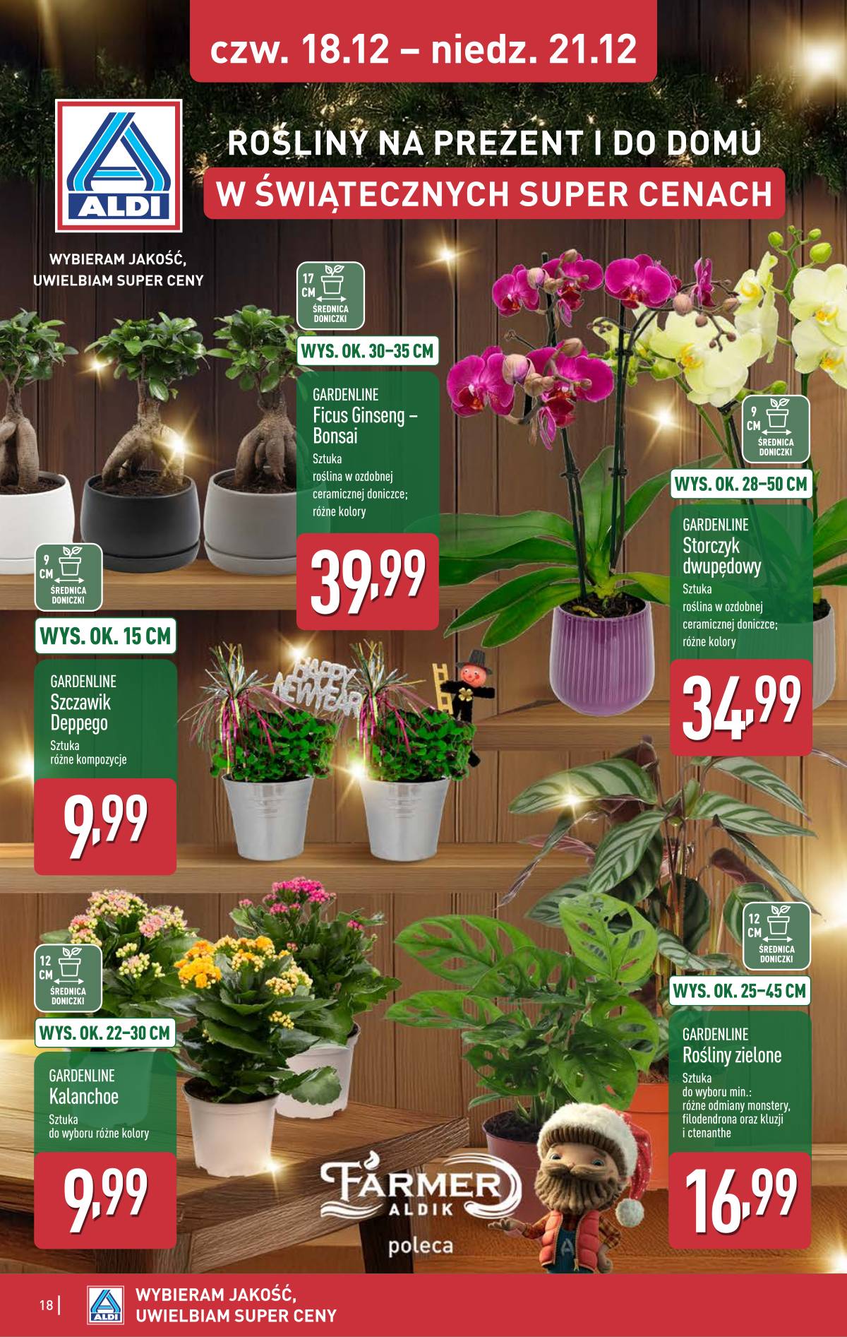 Aldi - Oferta weekendowa 18 puslapis
