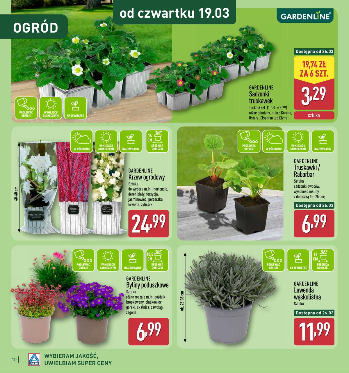 Aldi - Katalog ogrodowy 10 puslapis