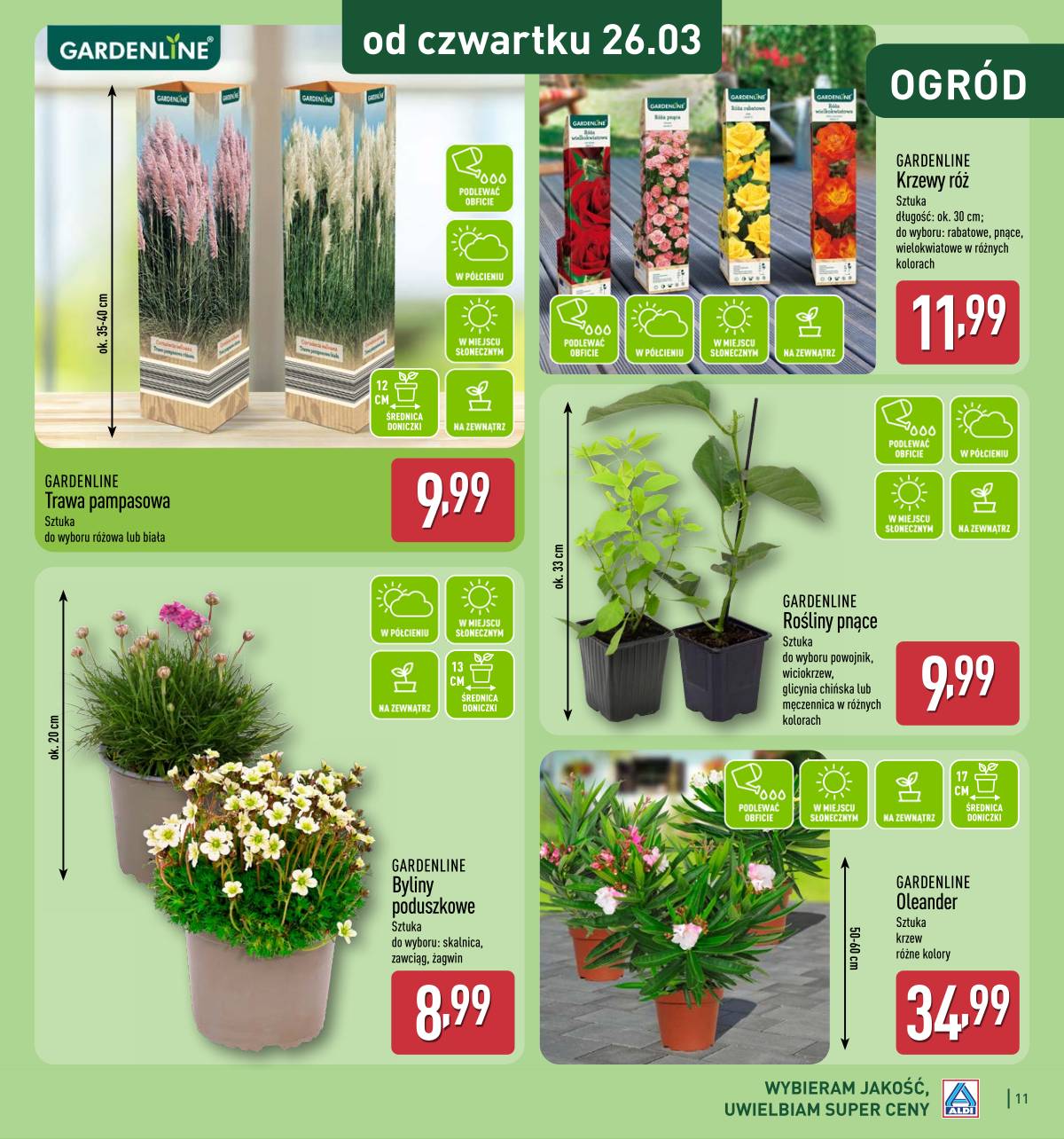 Aldi - Katalog ogrodowy 11 puslapis