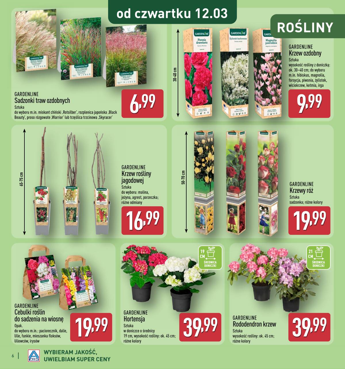 Aldi - Katalog ogrodowy 6 puslapis