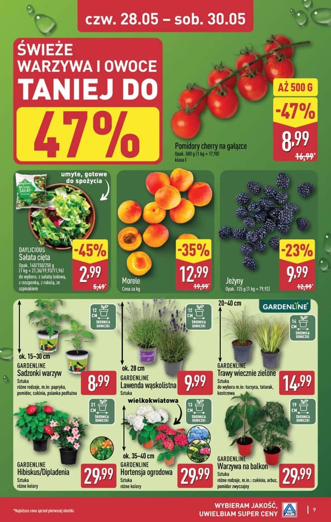 Aldi - Oferta weekendowa od czwartku 28.05 do soboty 30.05 9 puslapis