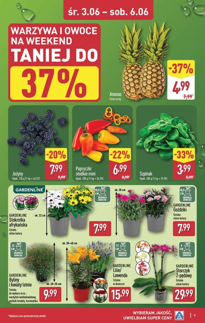 Aldi - Oferta weekendowa od czwartku 4.06 do soboty 6.06 9 puslapis