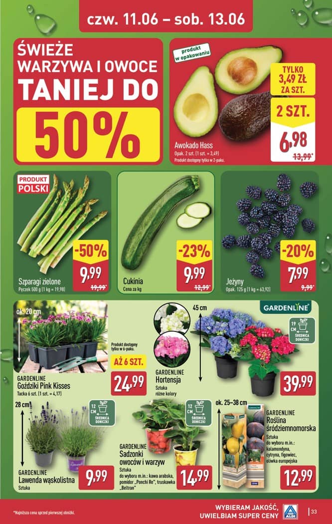 Aldi - Pełna oferta od poniedziałku 8.06 do soboty 13.06 33 puslapis