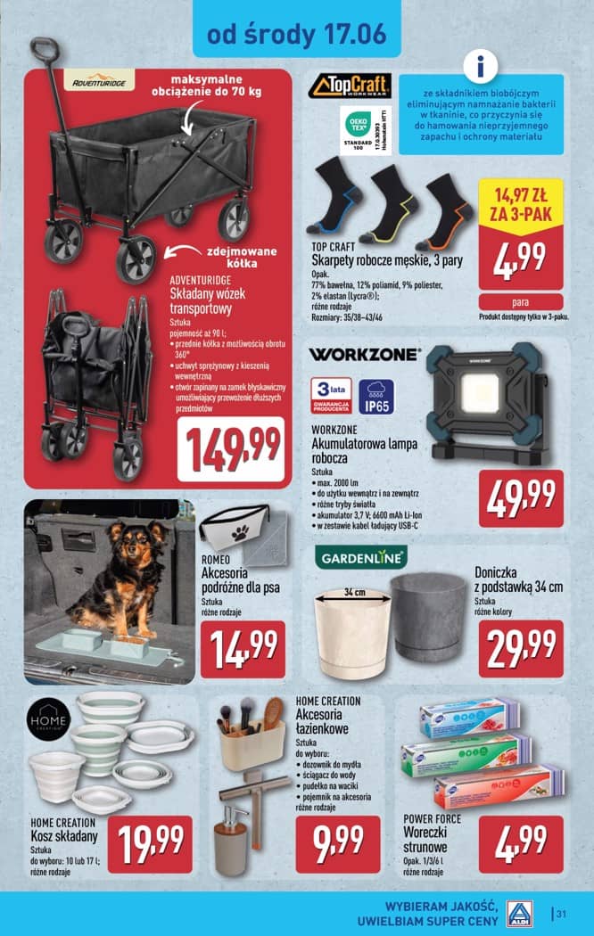 Aldi - Pełna oferta od poniedziałku 15.06 do soboty 20.06 31 puslapis