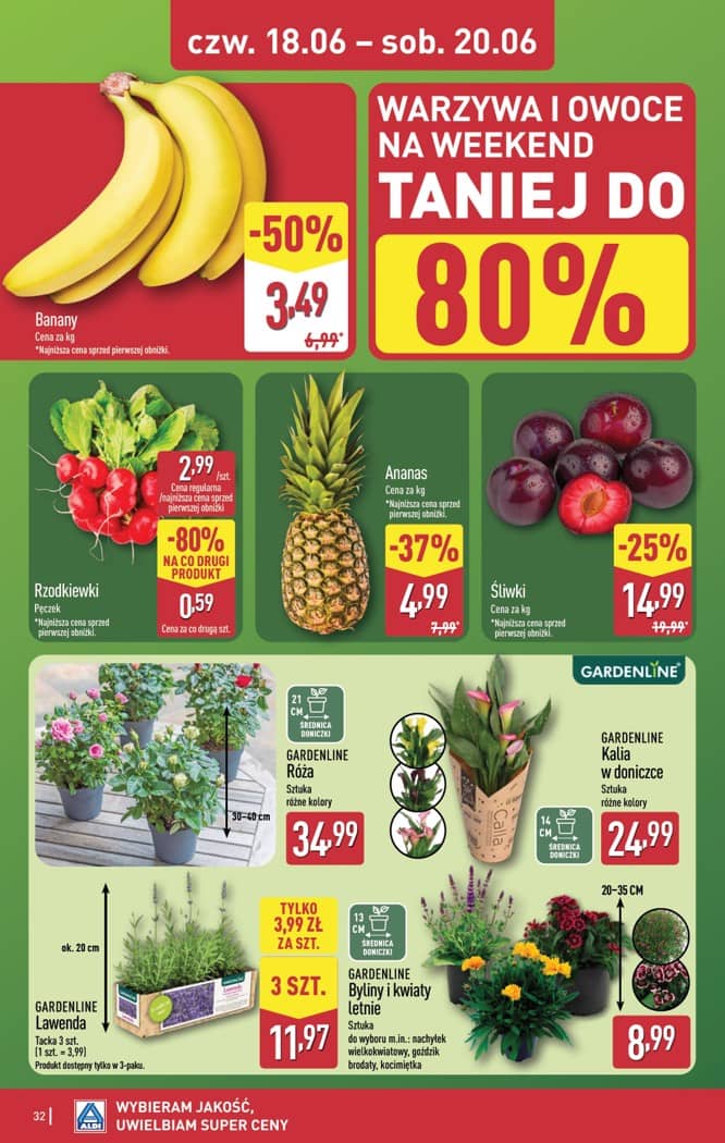 Aldi - Pełna oferta od poniedziałku 15.06 do soboty 20.06 32 puslapis