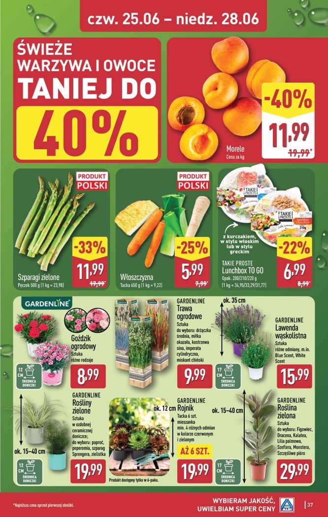 Aldi - Pełna oferta od poniedziałku 22.06 do niedzieli 28.06 37 puslapis