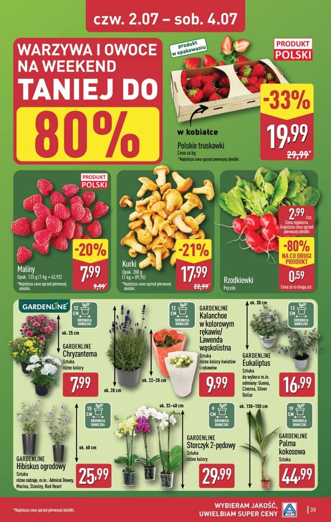 Aldi - Pełna oferta od poniedziałku 29.06 do soboty 4.07 35 puslapis