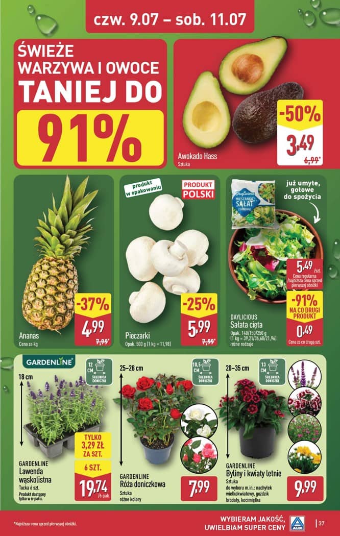 Aldi - Pełna oferta od poniedziałku 6.07 do soboty 11.07 37 puslapis