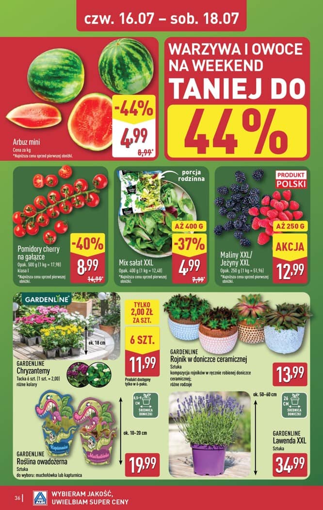 Aldi - Pełna oferta od poniedziałku 13.07 do soboty 18.07 36 puslapis