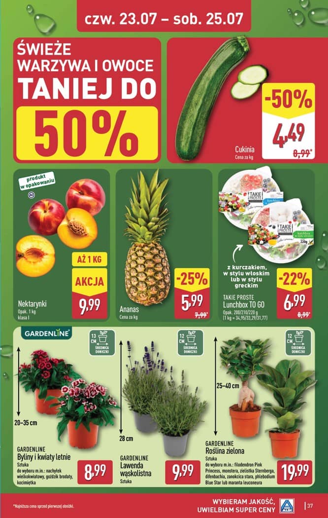 Aldi - Pełna oferta od poniedziałku 20.07 do soboty 25.07 37 puslapis