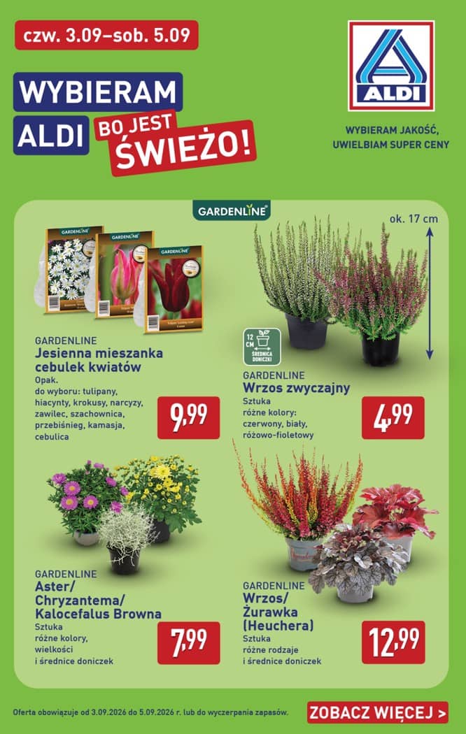 Aldi - Pełna oferta od poniedziałku 31.08 do soboty 5.09 38 puslapis