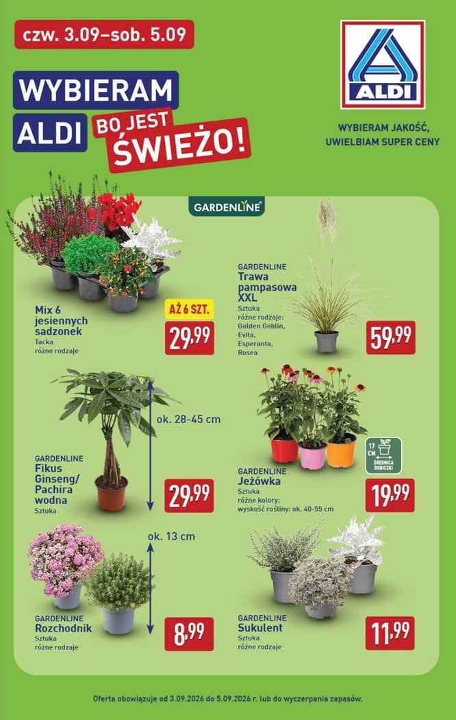 Aldi - Pełna oferta od poniedziałku 31.08 do soboty 5.09 39 puslapis