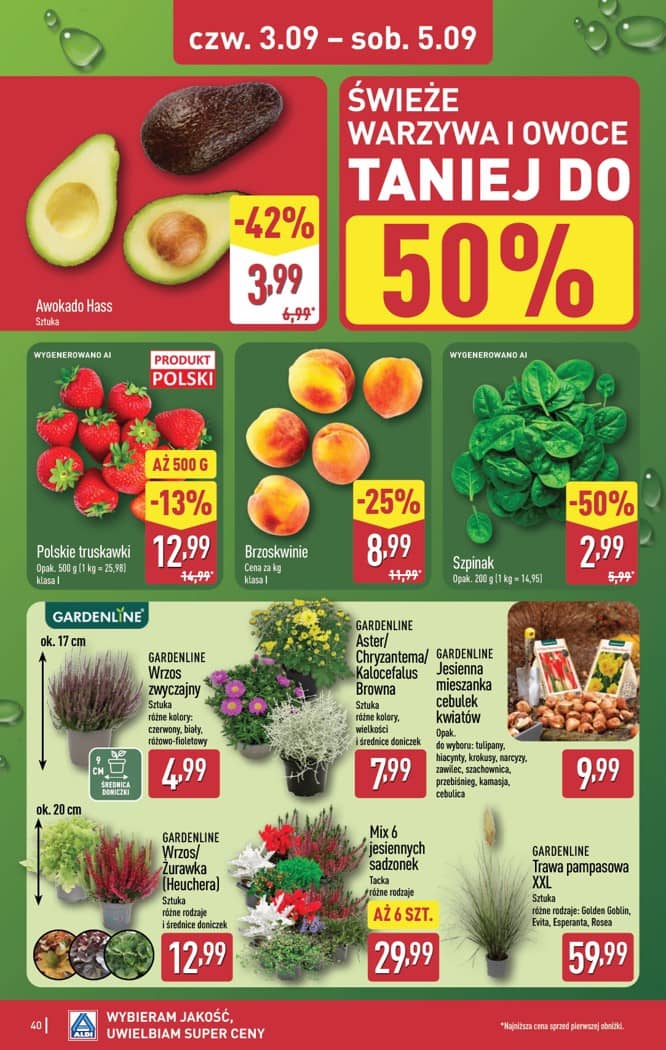 Aldi - Pełna oferta od poniedziałku 31.08 do soboty 5.09 40 puslapis