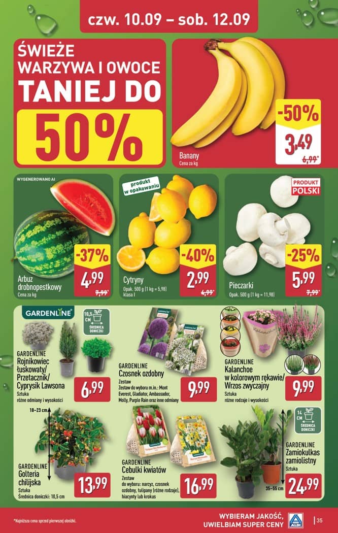 Aldi - Pełna oferta od poniedziałku 07.09 do soboty 12.09 35 puslapis