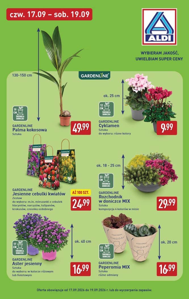 Aldi - Pełna oferta od poniedziałku 14.09 do soboty 19.09 33 puslapis