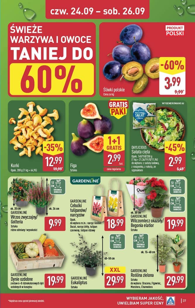 Aldi - Pełna oferta od poniedziałku 21.09 do soboty 26.09 37 puslapis