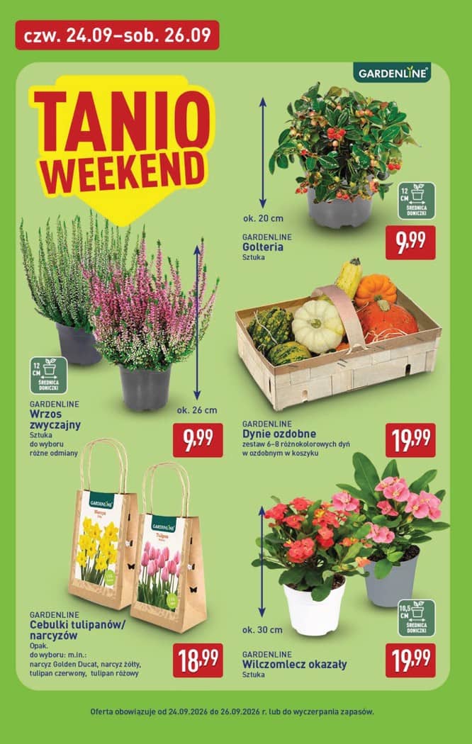 Aldi - Pełna oferta od poniedziałku 21.09 do soboty 26.09 38 puslapis