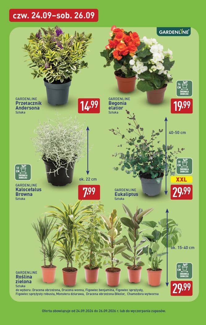 Aldi - Pełna oferta od poniedziałku 21.09 do soboty 26.09 39 puslapis