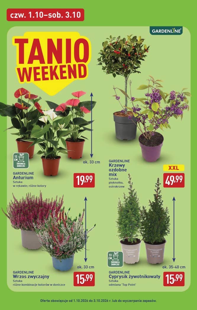 Aldi - Pełna oferta od poniedziałku 28.09 do soboty 3.10 42 puslapis