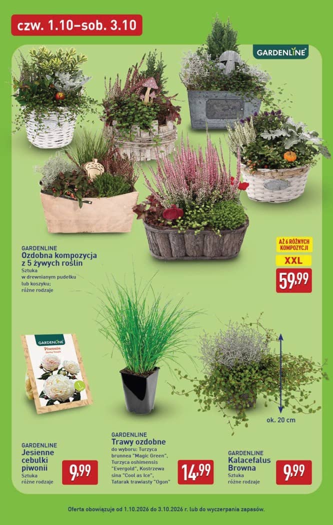 Aldi - Pełna oferta od poniedziałku 28.09 do soboty 3.10 43 puslapis
