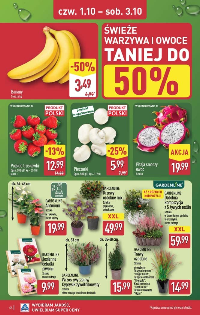Aldi - Pełna oferta od poniedziałku 28.09 do soboty 3.10 44 puslapis