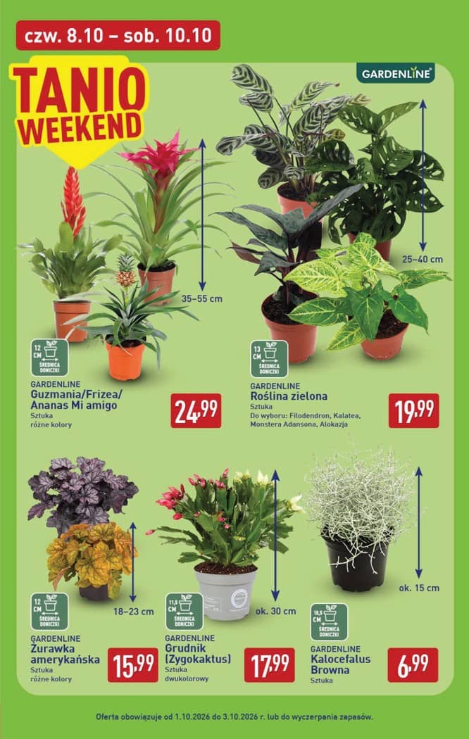 Aldi - Pełna oferta od poniedziałku 5.10 do soboty 10.10 39 puslapis