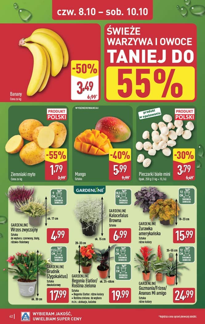 Aldi - Pełna oferta od poniedziałku 5.10 do soboty 10.10 42 puslapis