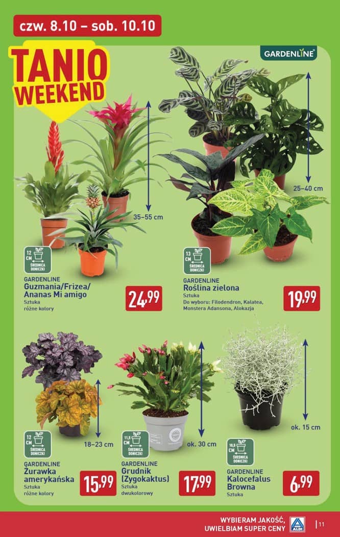 Aldi - Oferta weekendowa od czwartku 8.10 do soboty 10.10 11 puslapis