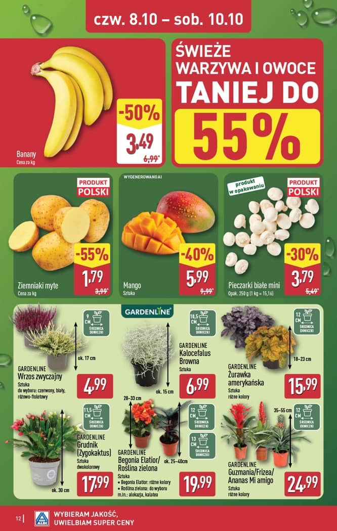 Aldi - Oferta weekendowa od czwartku 8.10 do soboty 10.10 12 puslapis