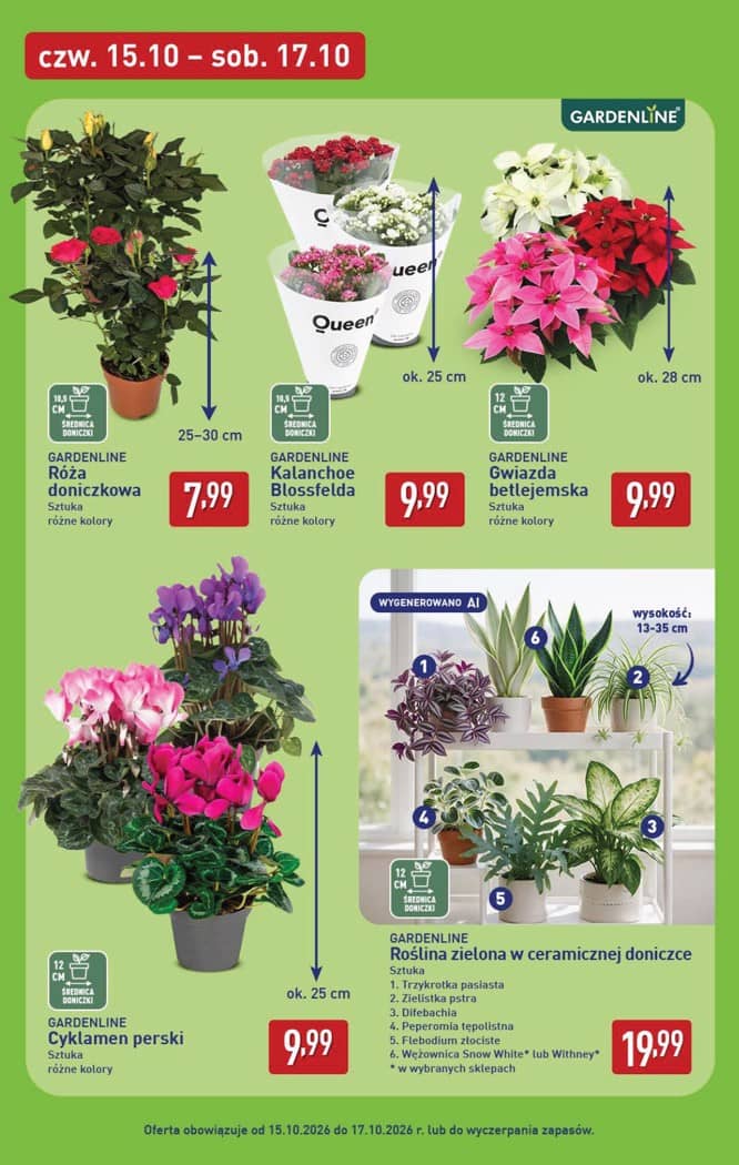 Aldi - Pełna oferta od poniedziałku 12.10 do soboty 17.10 45 puslapis